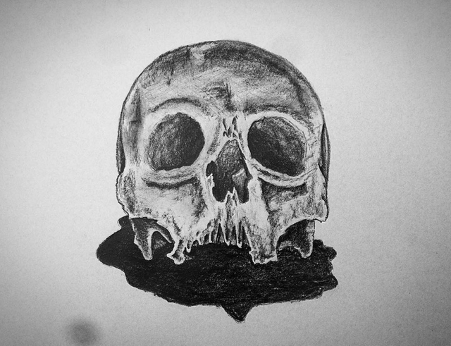 Skull Sketch.png