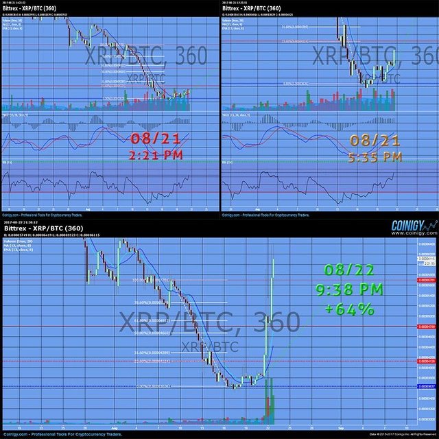 XRP.jpg