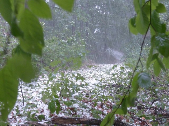 hail-123042_960_720.jpg