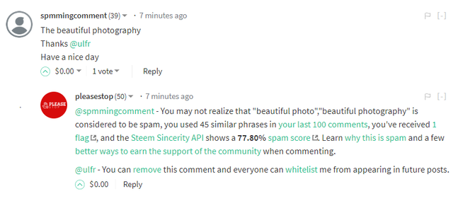 spmmingcomment.png