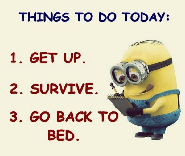 Funny-Minion-quotes-funny-121-600x507.jpg