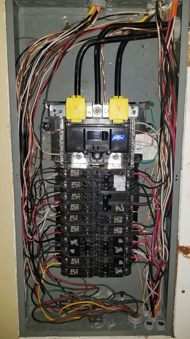 20180424_134131.jpg