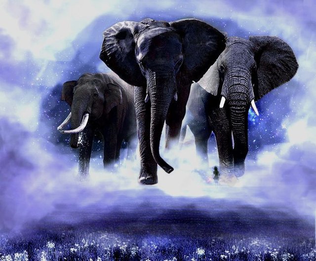 Elephants8.jpg