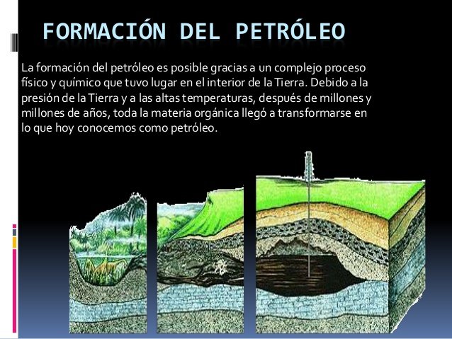 formacion del petroleo.jpg