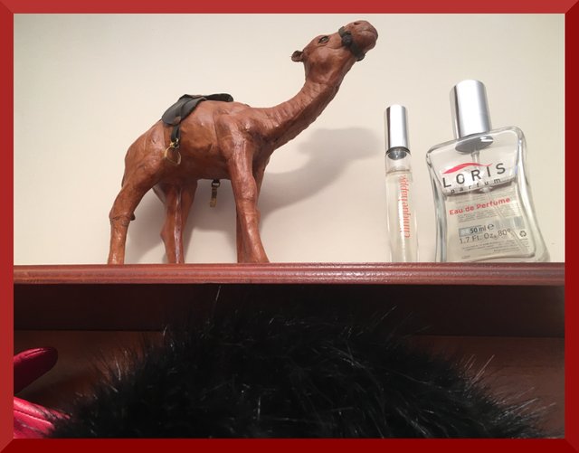 perfume door camel.JPG