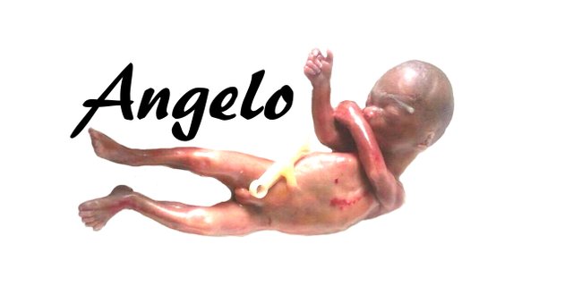 Baby angelo.jpg