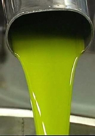 oil d'olive.jpg