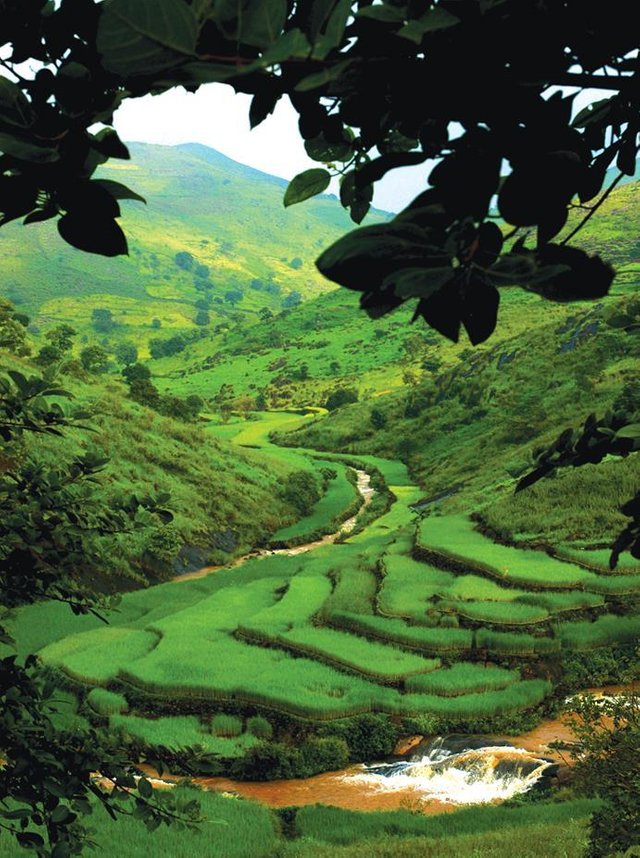 araku valley.jpg