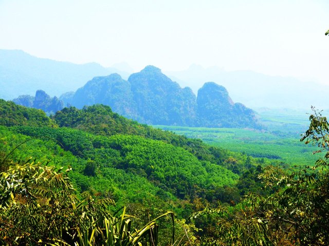 79967659998 - khao sok national park thailand.jpg