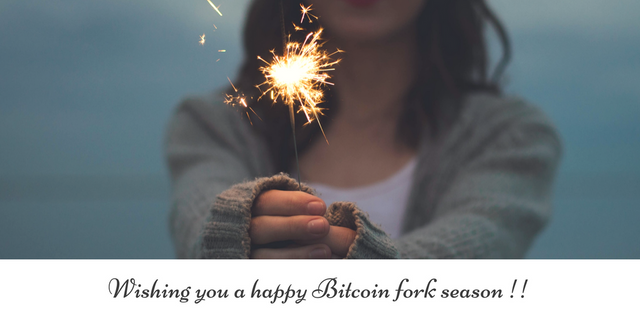 Wishing you a happy Bitcoin fork season !!.png