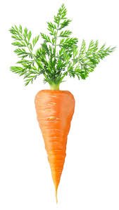 carrot.jpg