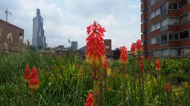 20170318_122412.jpg