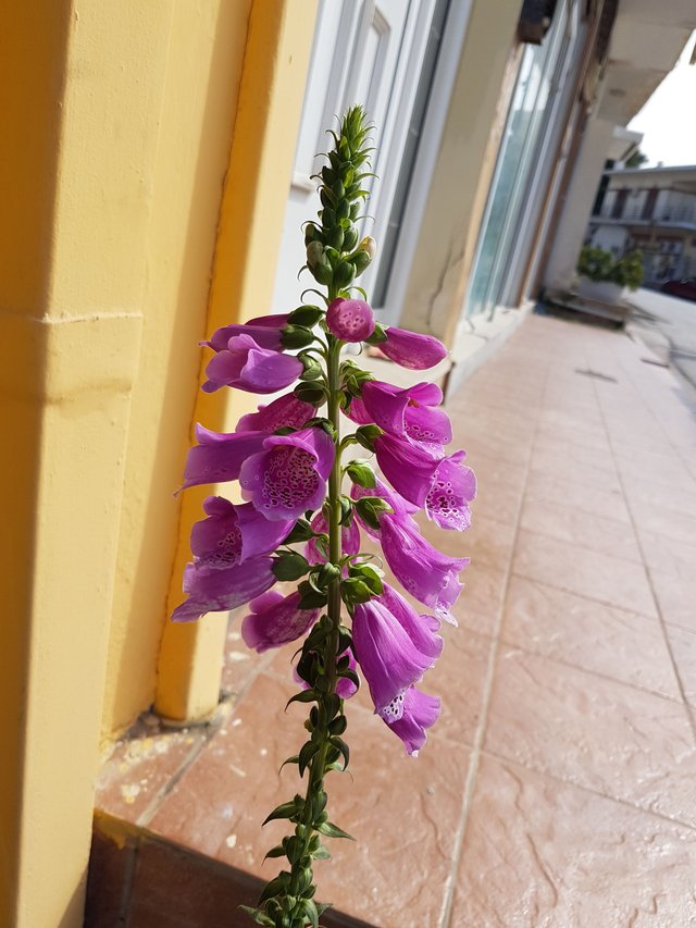 20180227_131232.jpg