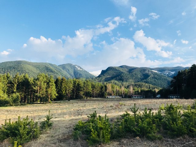 Photo 7.04.18, 18 41 16.jpg