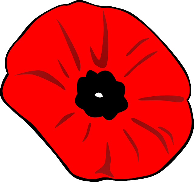 poppy-32120_640.png