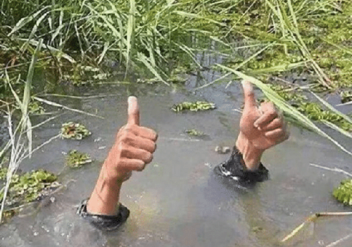 when-you-are-drowning-in-assignments-but-still-say-yes-4712017.png