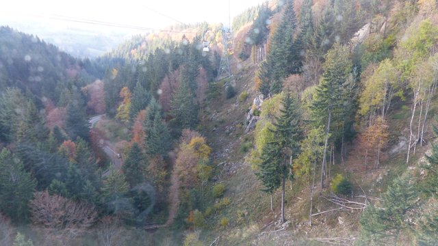 P1000255.JPG