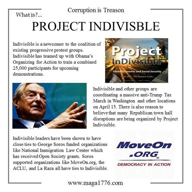 Project Indivisible.jpg