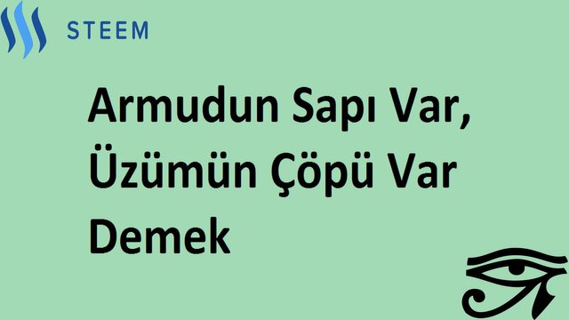 Armudun sapı var, üzümün çöpü var demek.jpeg