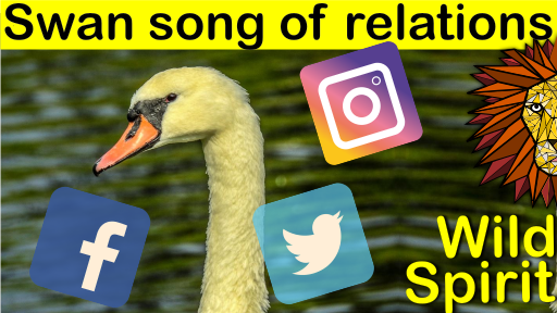 swan song.png