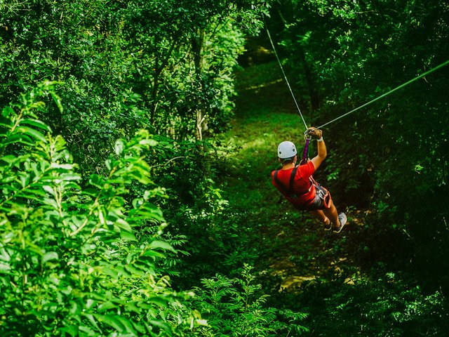 adventure-forest-jungle-sport.jpeg