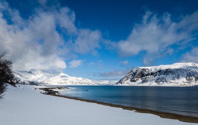 frozen beach-8.jpg