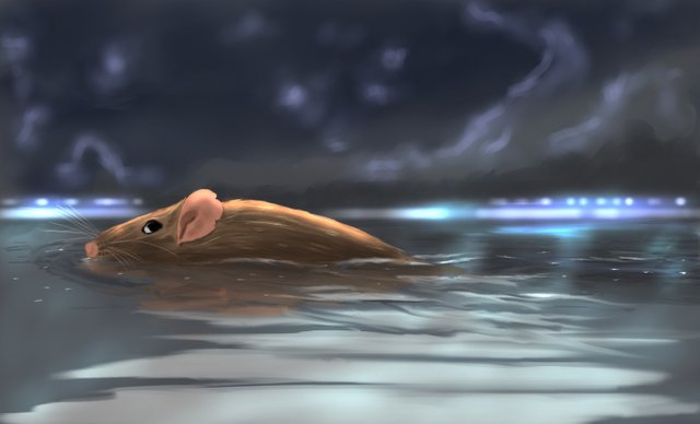 swimming mouse.jpg