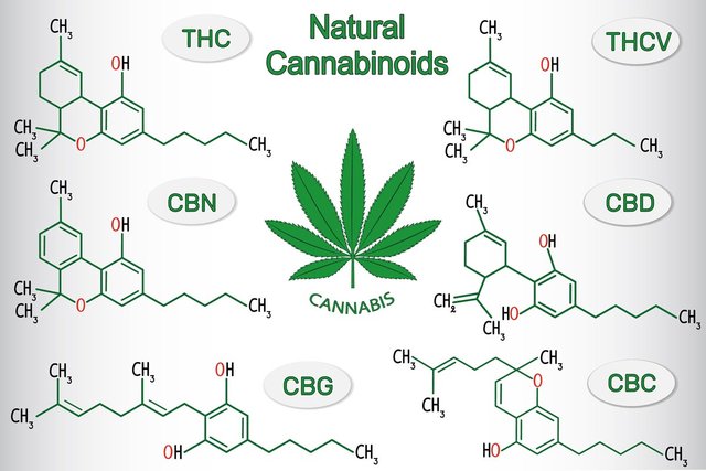 top-10-cannabinoids-and-what-they-do.jpg