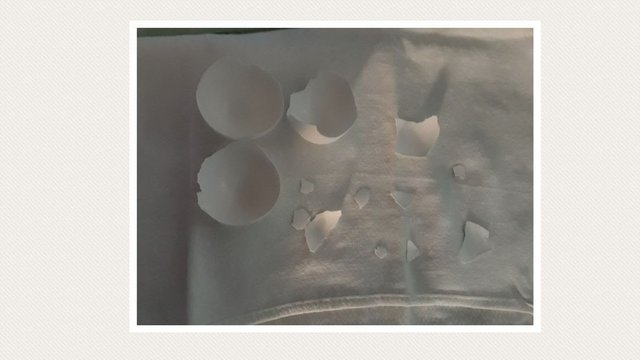 20180318_114111.jpg
