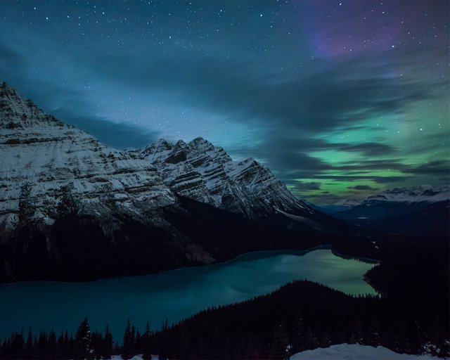 Peyto-Aurora.jpg