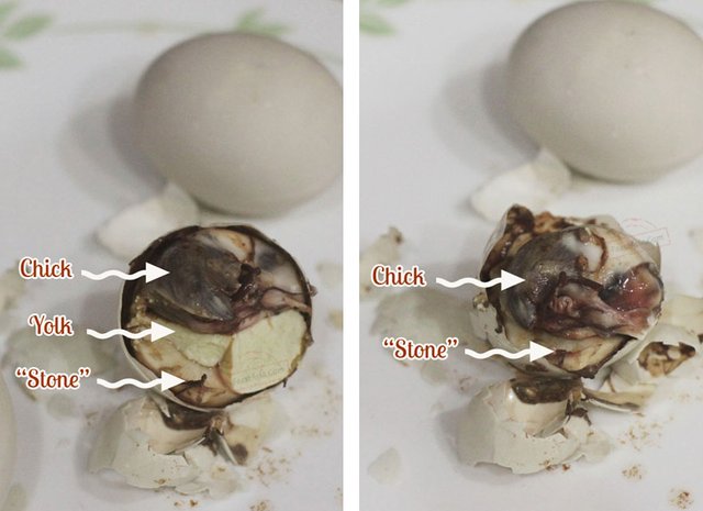 balut.jpg