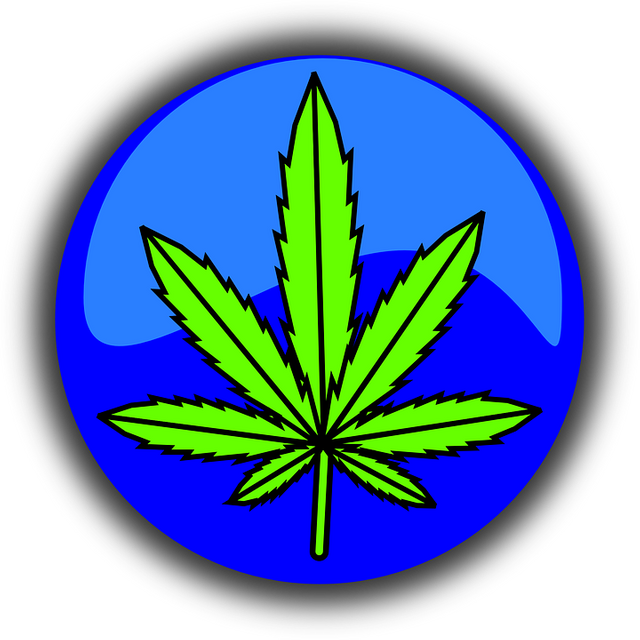 cannabis-490775_960_720.png