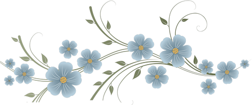 pale-blue-page-divider-flowers.png