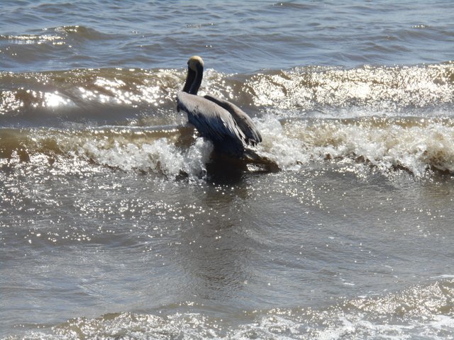 DSCN1056.JPG