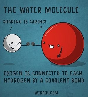 water-covalent-bond.jpg