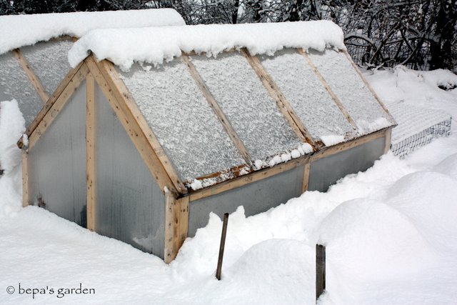 greenhouses snow.jpg