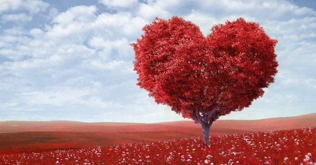 38538-hearttree-redheart-pexels.1200w.tn.jpg
