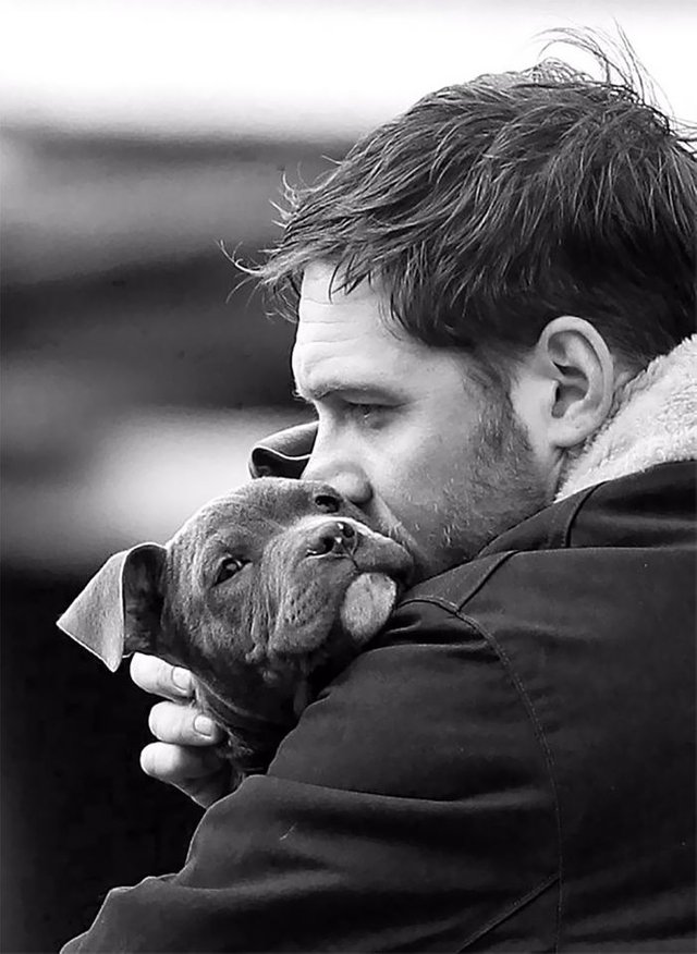 love-for-dogs-tom-hardy-31-59bf894952dc2__700.jpg