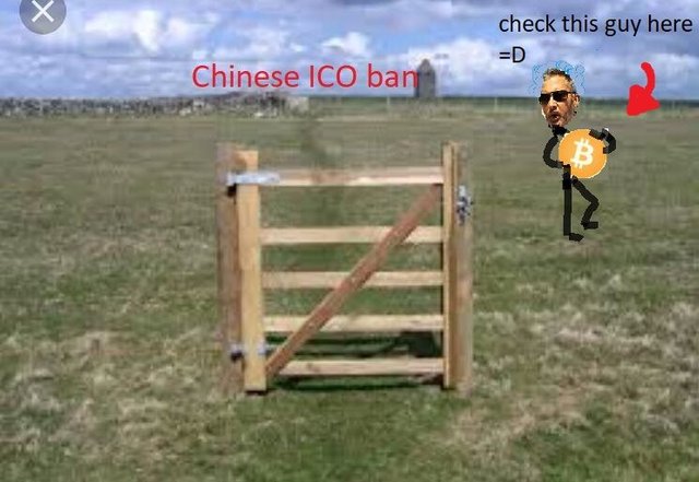 ChinaIcoBan.jpg