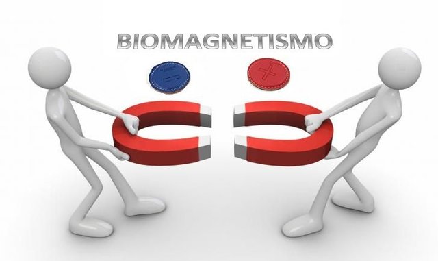 Lorenzo-Arroyo-biomagnetismo..jpg