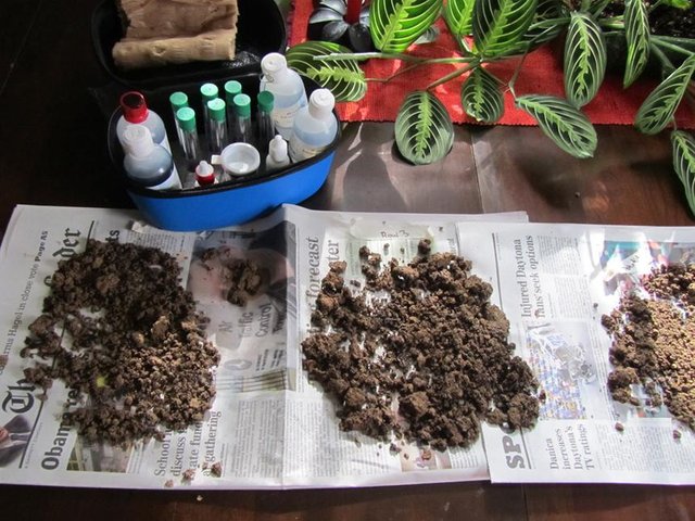 how-make-fertilizer-soil-test-standard_6889b2485ce74a687c3ae72b52c7382e_860x645_q85.jpg