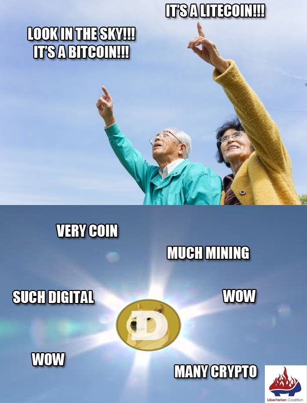 Doge Coin Meme.jpg