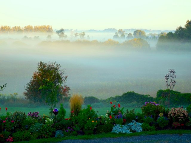 Misty Morning 2.jpg