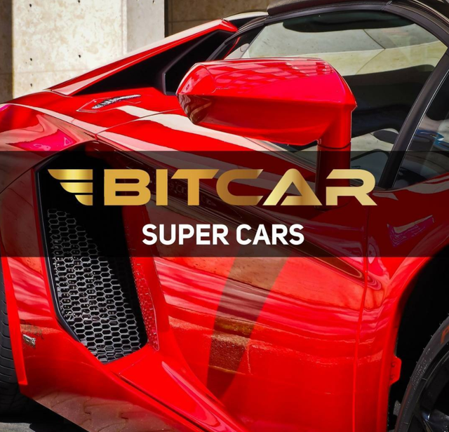 BitCar5.png