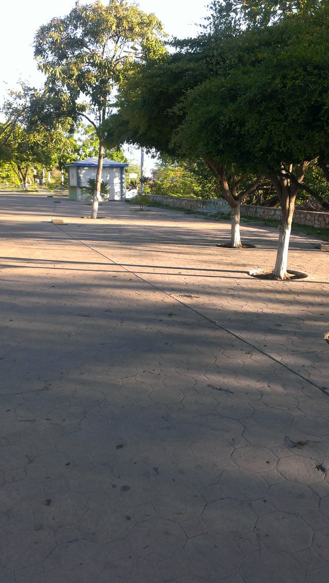 IMAG0288.jpg