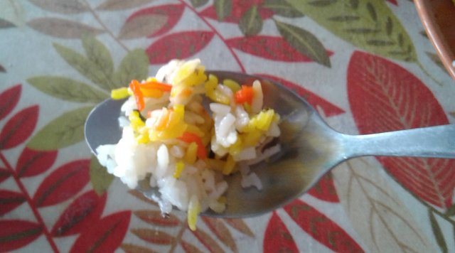 Spoon of rice.jpg