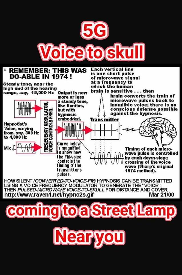 voice2skull1974.jpg