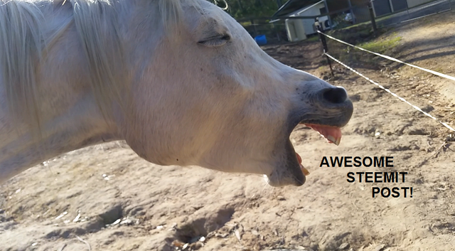 YAWN5.png