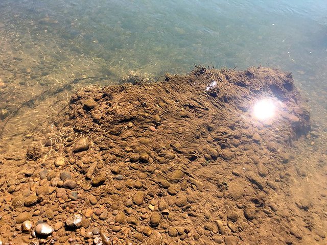 Shining water.JPG