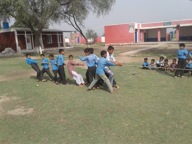 p3.jpg